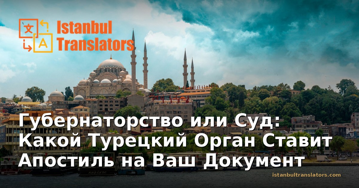 Губернаторство или Суд: Какой Орган Ставит Апостиль на Документ в Турции