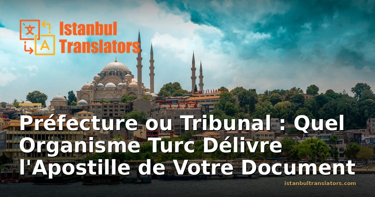 Préfecture ou Tribunal : Quel Organisme Délivre l'Apostille de Votre Document en Turquie