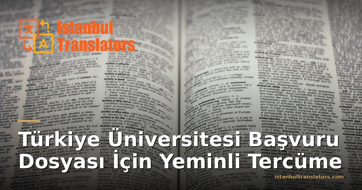 Türkiye Üniversitesi Başvuru Dosyası İçin Yeminli Tercüme